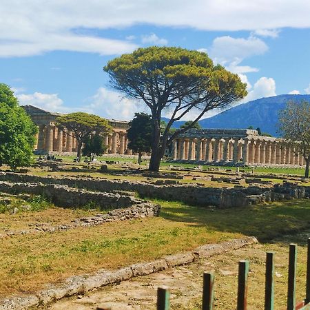 Apartmán Il Giardino Di Athena 1 Paestum Exteriér fotografie