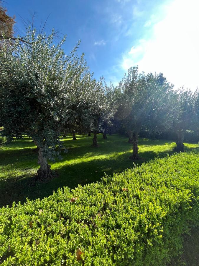 Apartmán Il Giardino Di Athena 1 Paestum Exteriér fotografie