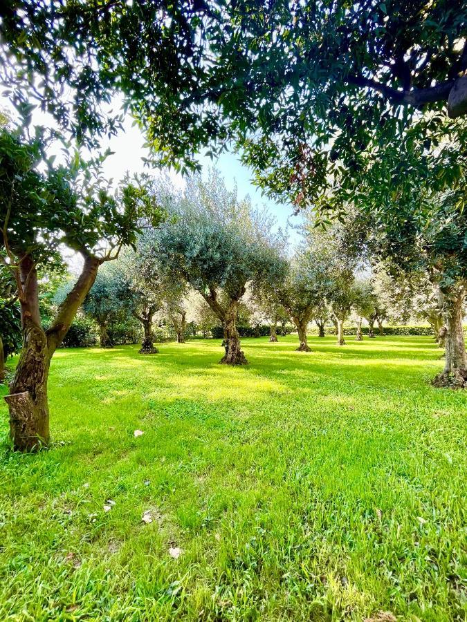 Apartmán Il Giardino Di Athena 1 Paestum Exteriér fotografie