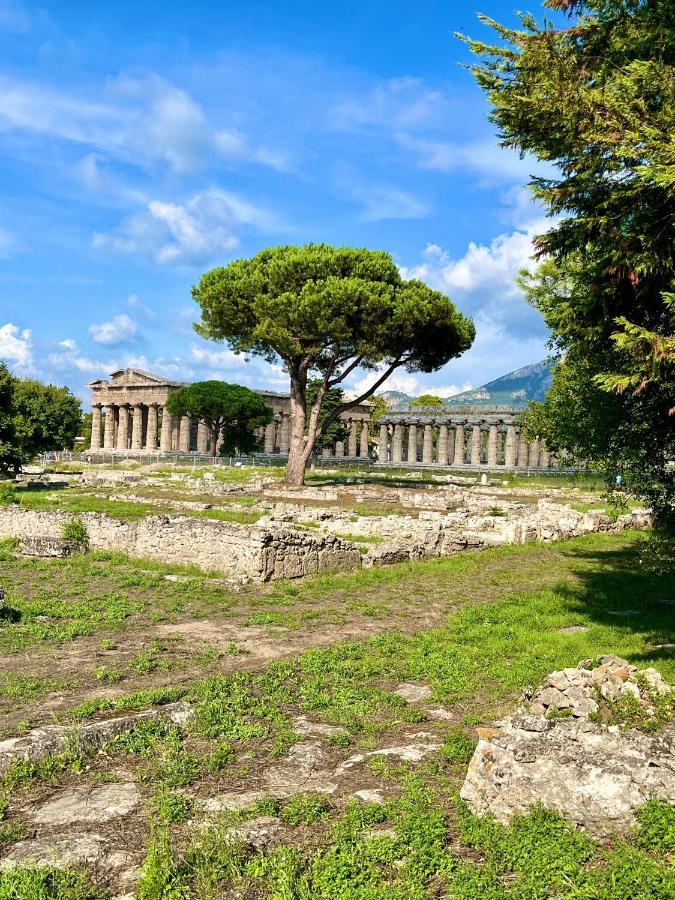Apartmán Il Giardino Di Athena 1 Paestum Exteriér fotografie
