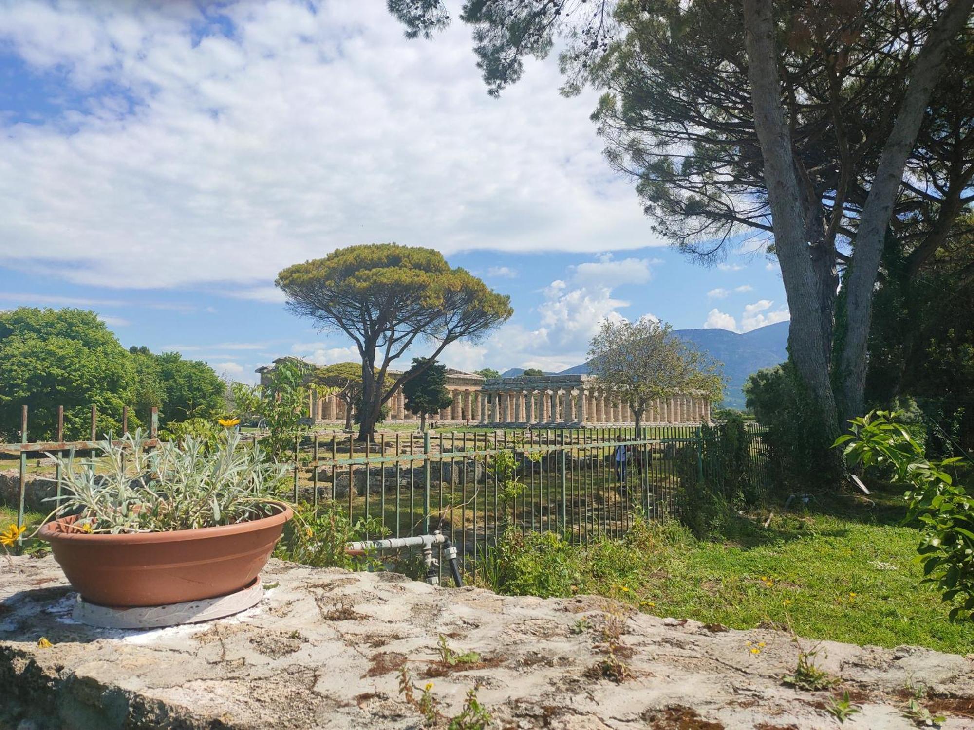 Apartmán Il Giardino Di Athena 1 Paestum Pokoj fotografie