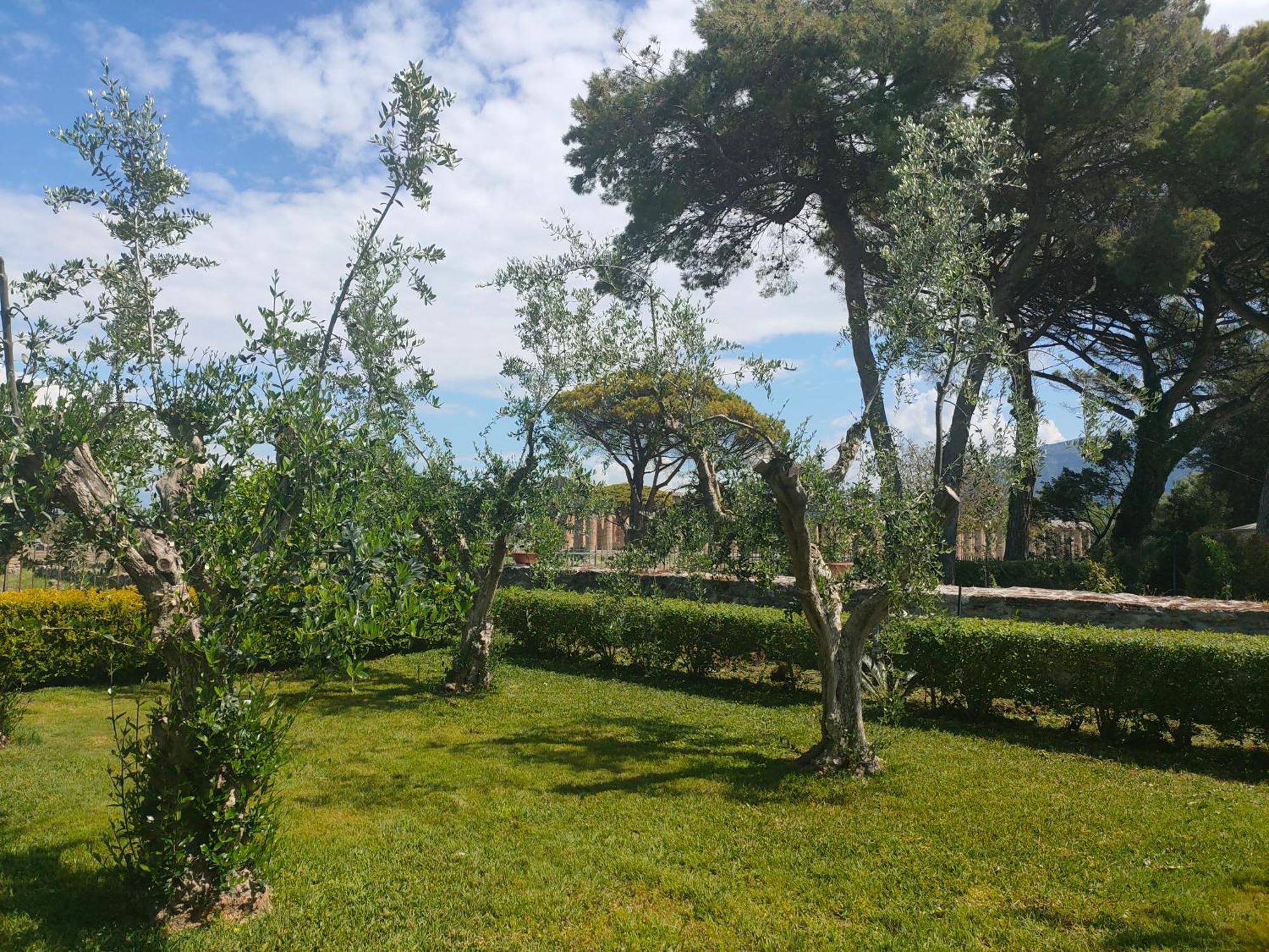 Apartmán Il Giardino Di Athena 1 Paestum Exteriér fotografie