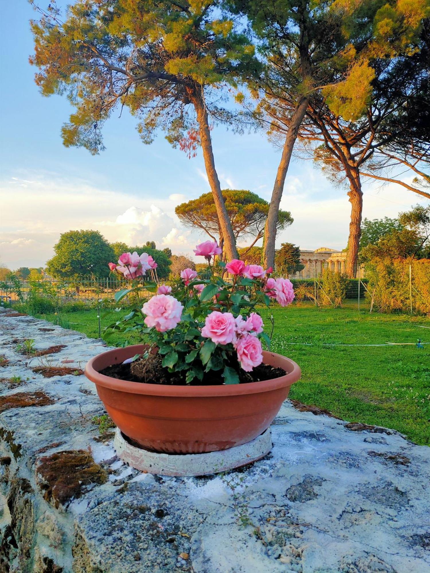 Apartmán Il Giardino Di Athena 1 Paestum Exteriér fotografie