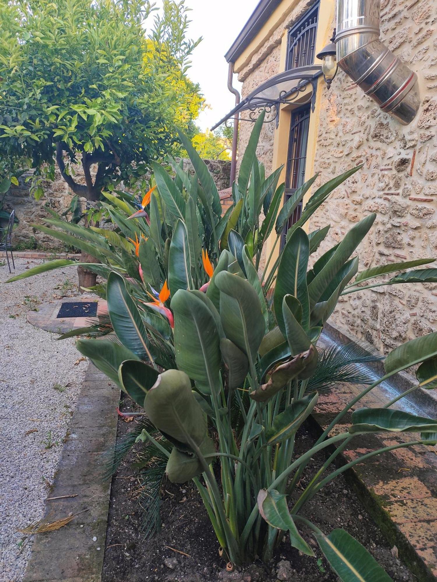 Apartmán Il Giardino Di Athena 1 Paestum Exteriér fotografie