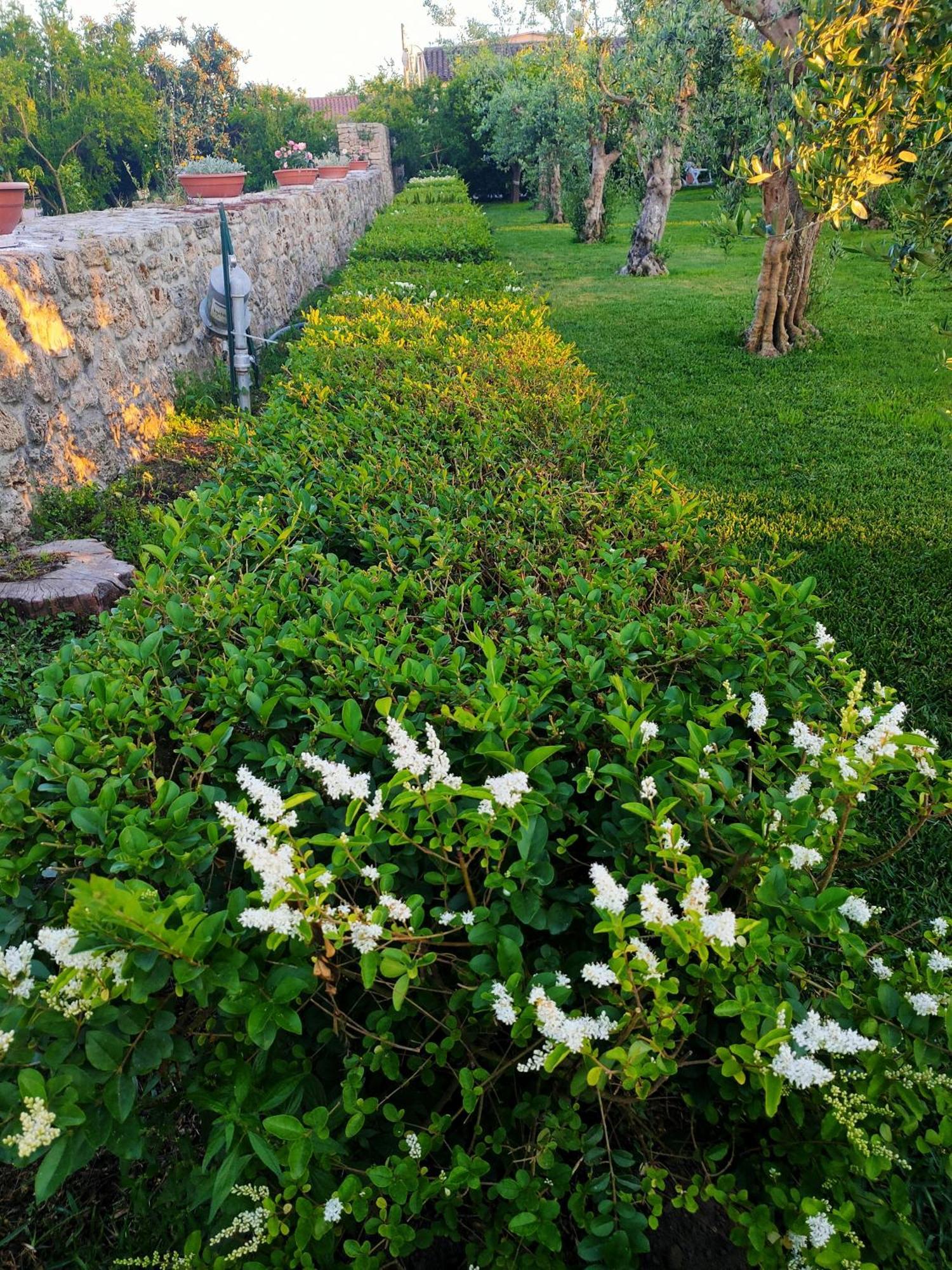 Apartmán Il Giardino Di Athena 1 Paestum Exteriér fotografie